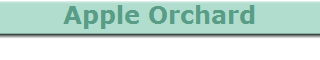 Apple Orchard