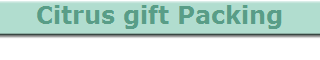 Citrus gift Packing