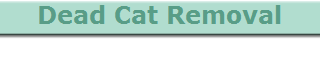 Dead Cat Removal