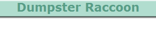 Dumpster Raccoon