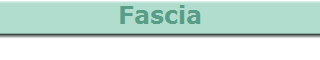 Fascia
