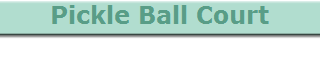 Pickle Ball Court