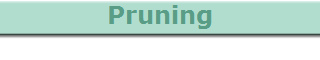 Pruning