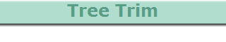 Tree Trim