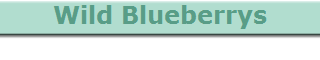 Wild Blueberrys