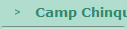    Camp Chinquapin