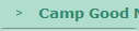    Camp Good News