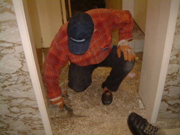 2010 02  february 005