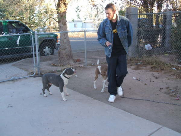 Scott w/dogs
