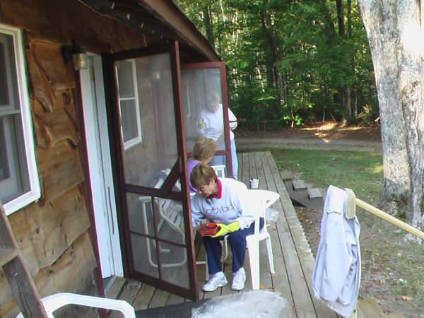 Door & Screen Painting